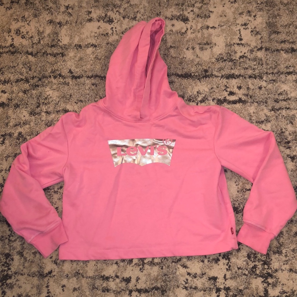 Levi’s Cropped Hoodie